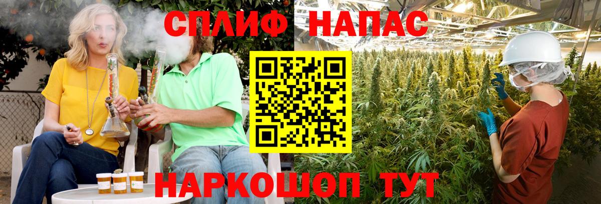 Канабис White Widow  Шишки марихуана гибрид  Вход с VPN  Конопля марихуана  Междуреченск  МАРИХУАНА планчик 